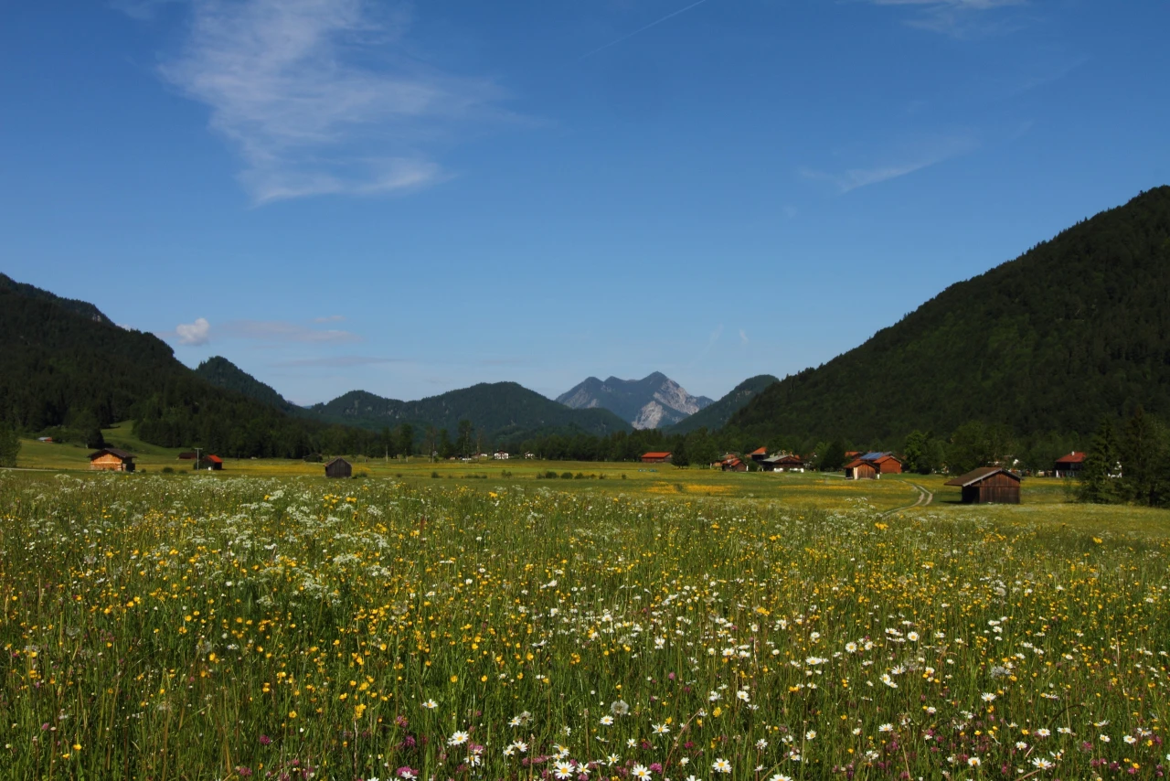 Aktivitäten in der Jachenau