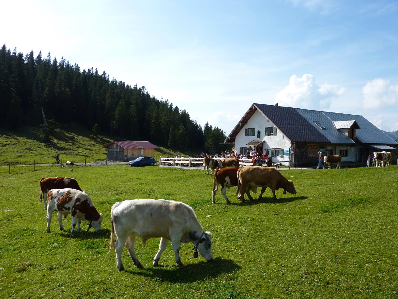 Aktivitäten in der Jachenau